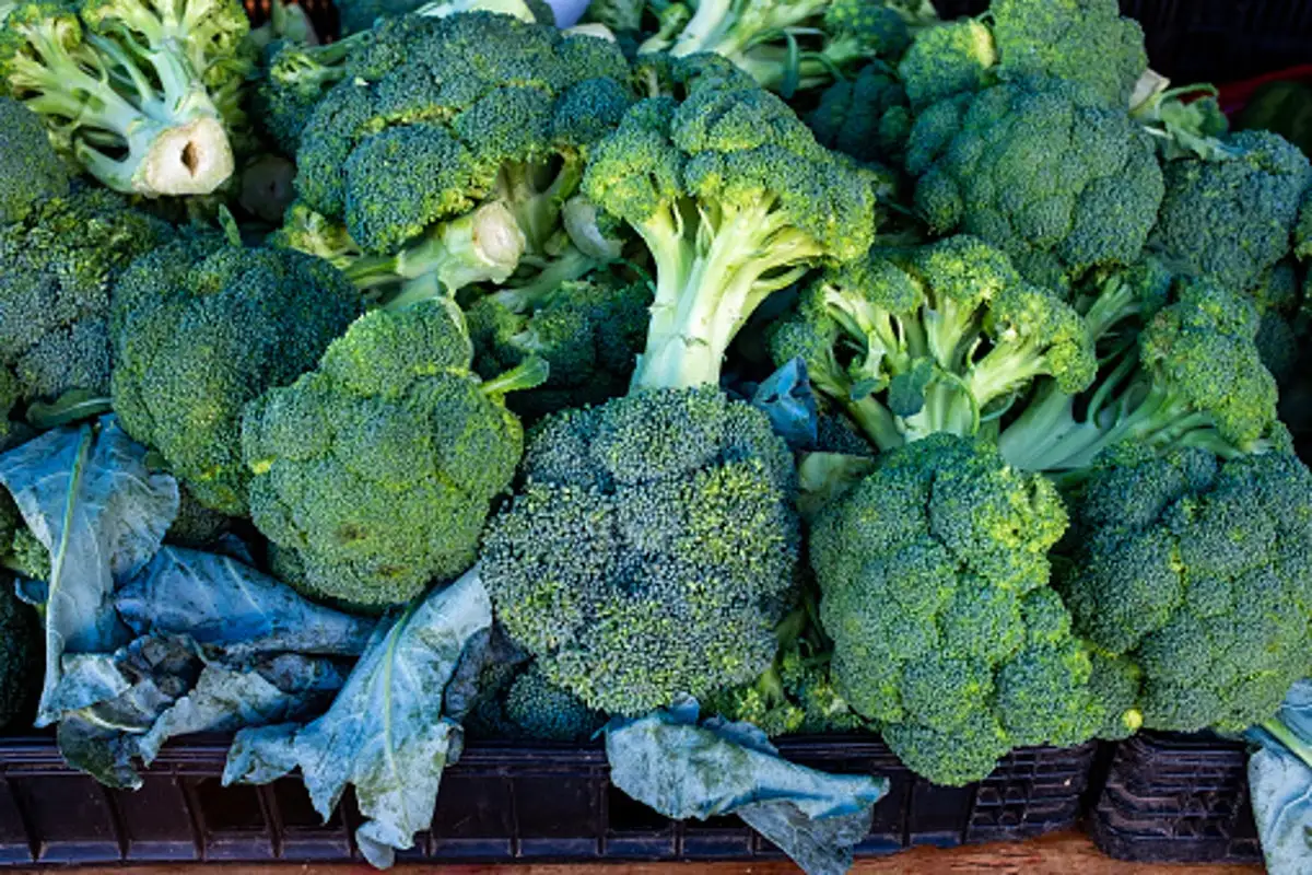 Walmart broccoli recall elevated to highest level by FDA over risk of ‘death’