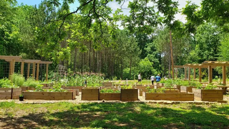 Atlanta creates the nation's largest free food forest with hopes of addressing food insecurity | CNN