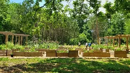 Atlanta creates the nation's largest free food forest with hopes of addressing food insecurity | CNN