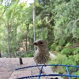 I setup a smart birdfeeder today 📸🐦