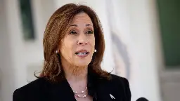 Kamala Harris Asks Americans: Are You Really Going to Elect a Guy Who Has Good Things to Say About Hitler?