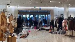 Video captures mob of robbers swarming Nordstrom in Topanga mall