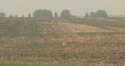 Extremely dry spring leaves southern Albertan farmers on the road to ‘zero production’  | Globalnews.ca