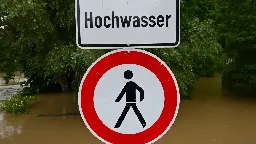 Frau harrt bei Hochwasser 52 Stunden in Baum bei Neu-Ulm aus