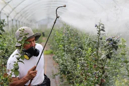 Feds consider upping allowable pesticide residue limits on our food