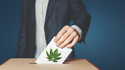 Ohio voters could be able to legalize marijuana this year