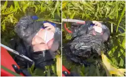 Something from a horror movie! Shocking find on River Bann by cleanup team