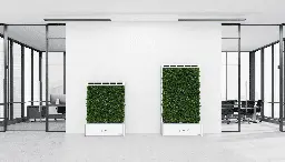 Forget about energy-consuming ventilation systems - plants can clean the air better