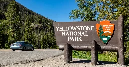 Yellowstone visitor charged after going off trail in thermal area and burning himself