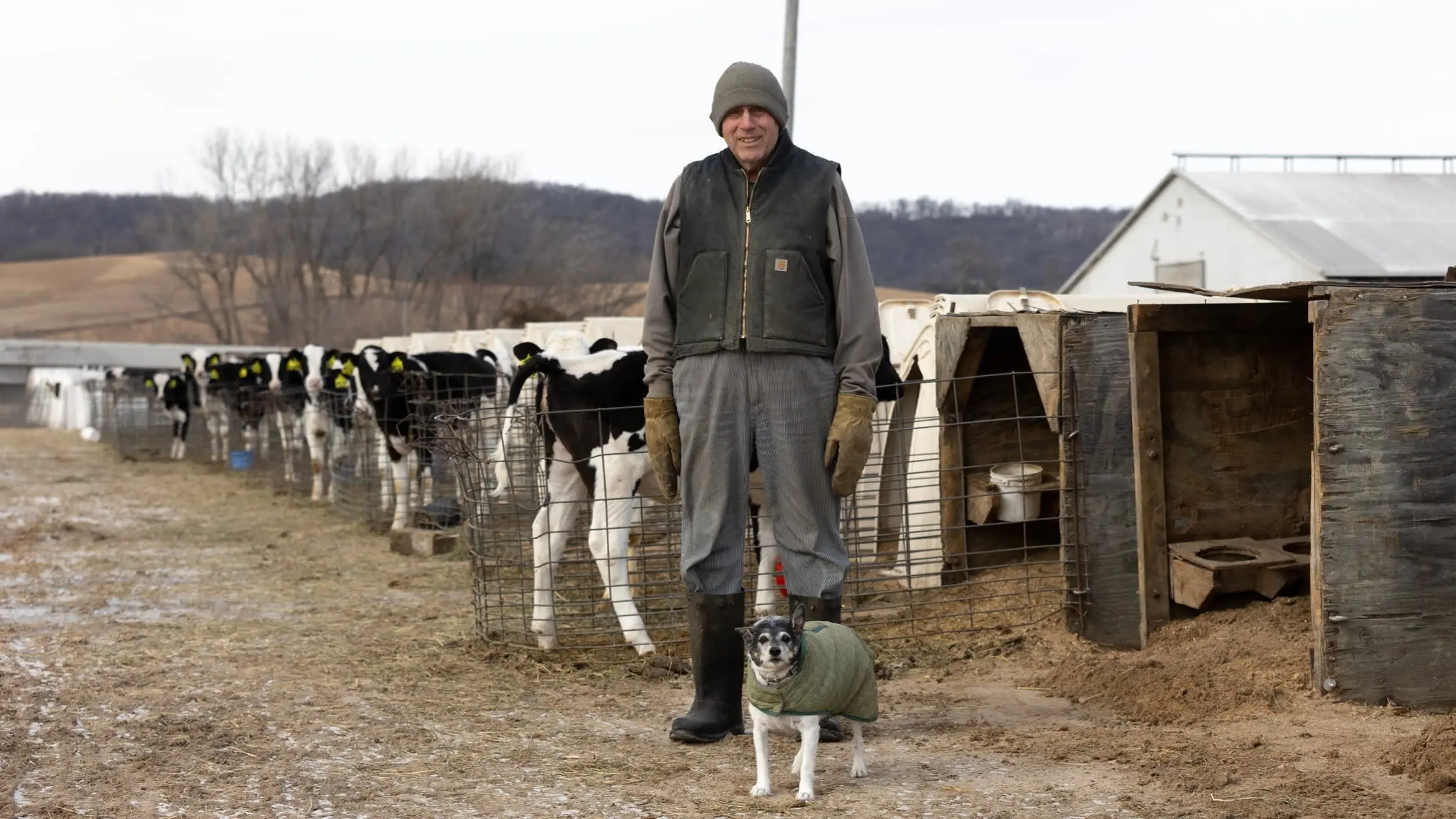 ‘We’ll all have to go vegan’: Wisconsin dairy farmers fret over immigration crackdown