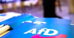 German parliament to debate ban on far-right AfD next week