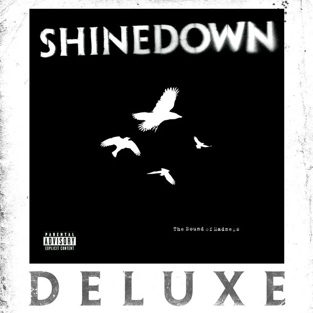 Shinedown - Sound of Madness