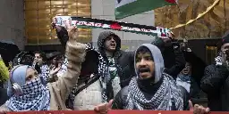 USA | “Operation Wrath of Zion" Aims to Dox and Deport Pro-Palestinian Protestors in New York City