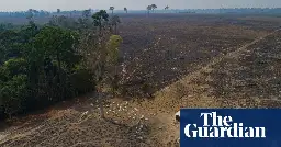 Brazil: Amazon deforestation drops 34% in first six months under Lula