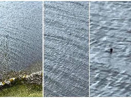 'Nessie’ sighting vaults Canadian couple into media spotlight after photo in Scotland