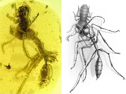 Amber Fossil Shows 'Hell Ant' Was Unlike Anything Alive Today