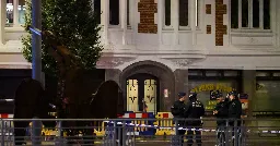 Two Swedes shot dead in Brussels -Belgian newspaper