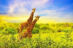 It’s World Giraffe Day! Celebrate the world’s tallest animal on the Earth’s longest day