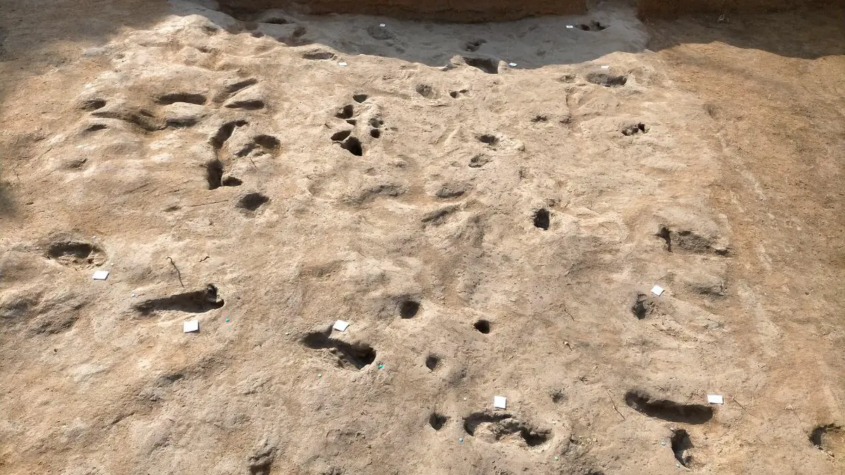 4,000-year-old footprints near Pompeii show people fleeing Mount Vesuvius eruption thousands of years before the famous one