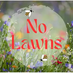 No Lawns - SLRPNK