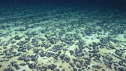 Humans know very little about the deep sea. That may not stop us from mining it.