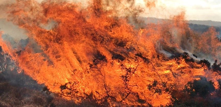 UK peatland fires are supercharging carbon emissions as climate change causes hotter, drier summers