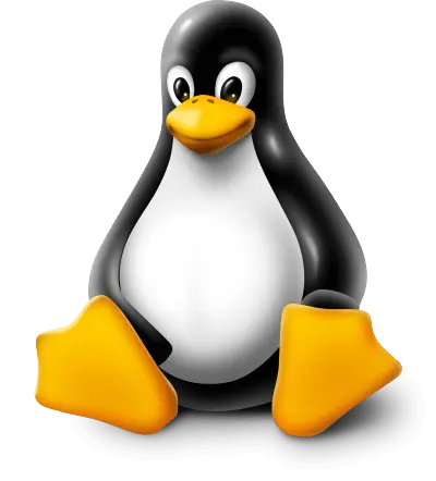 Linux Kernel