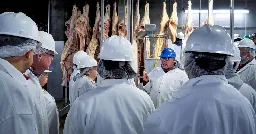 Slaughterhouse Work Is Still Some of the Most Exploited Labor in the World