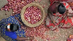 India bans export of onions till March 2024