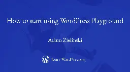 How to start using WordPress Playground