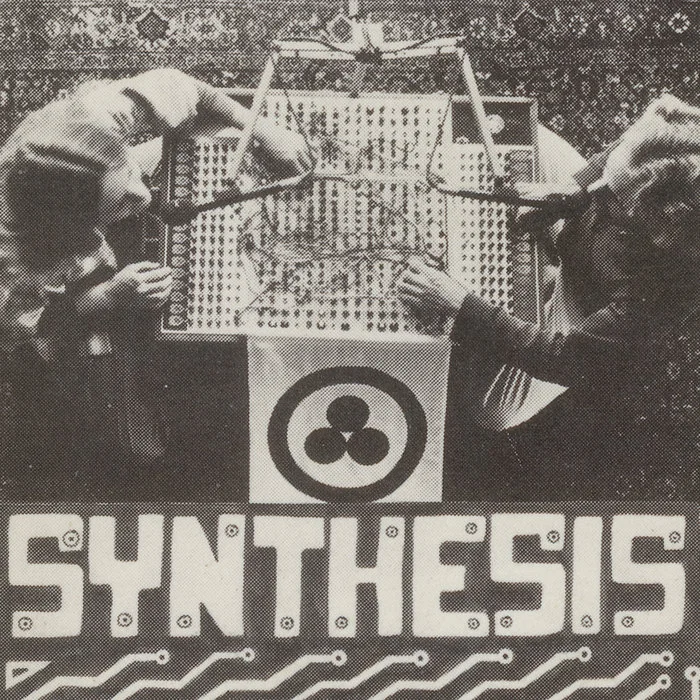 Synthesis, by Planetary Peace