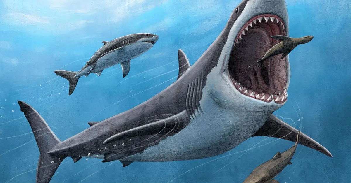 Tooth analysis confirms the megalodon - a huge ancient shark - was warm-blooded