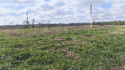 Company fined for dumping 'chicken sludge' in northeast Georgia creek