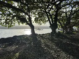 Hilo, Hawaii - most charming spot in the state imo