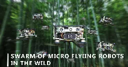 Watch a swarm of drones autonomously track a human through a dense forest