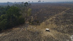 In Lula's first six months, Brazil Amazon deforestation dropped 34%, reversing trend under Bolsonaro