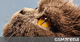 Realme shares a bunch of GT5 Pro telephoto camera samples ahead of launch