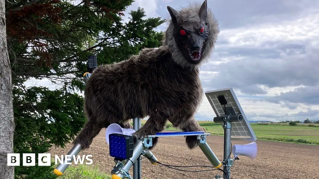 The robot wolves trying to scare off Japan's bears