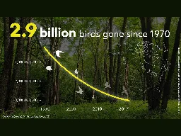 Nearly 3 Billion Birds Gone