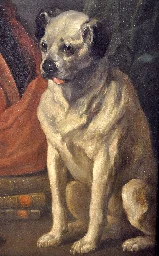 Trump (dog) - Wikipedia