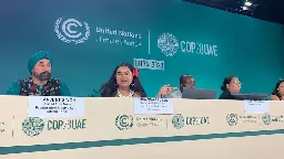 Share of COP29 badges for Global South NGOs upsets rich countries