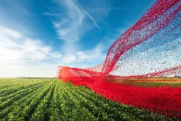 The Science Behind Red Nets: A New Dawn in Eco-Friendly Farming