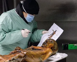 How Did Ötzi the Iceman Get His Tattoos? Archaeologists and Tattoo Artists Unravel the Mystery