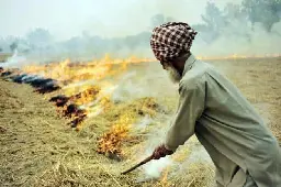Delhi pollution: Stubble burning has declined in Punjab but is still a menace