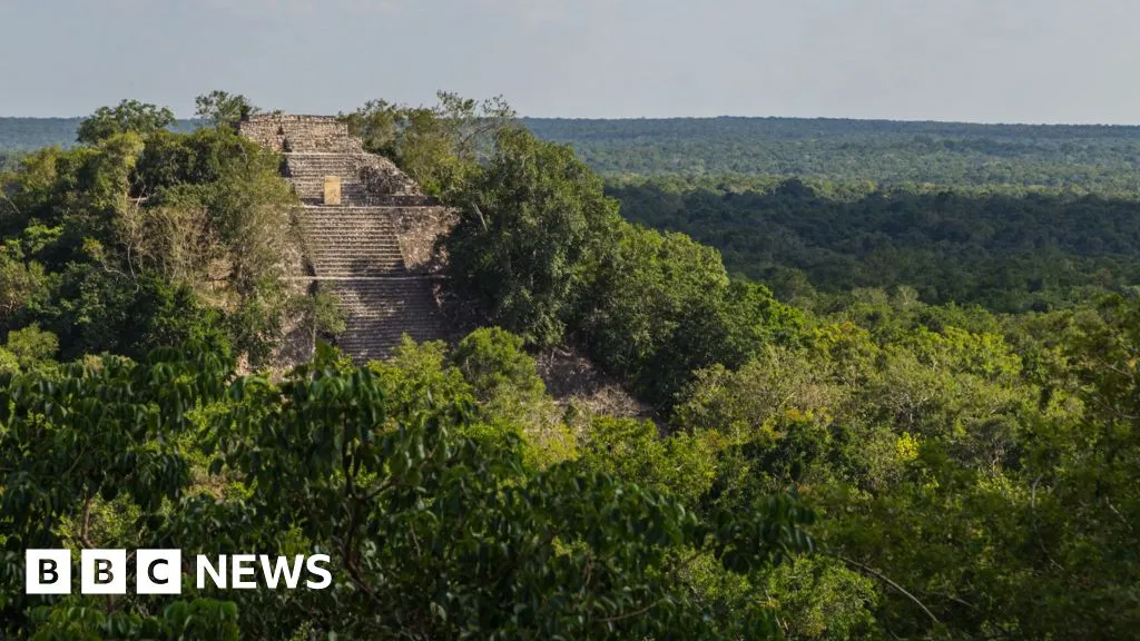 Lost Mayan city found in Mexico jungle by accident