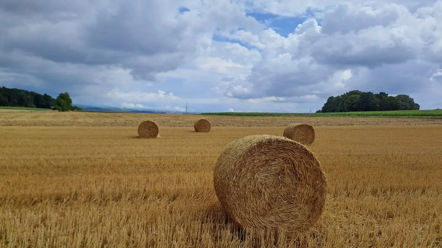 Die Landwirtschaft hat jetzt genug vom Regen