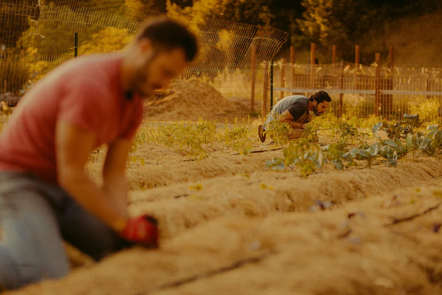 Queer Farmers in California Plant Seeds, Fight Climate Change, and Make It Look Sexy