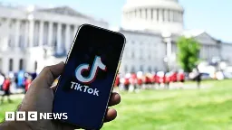 TikTok confirms it offered US government a 'kill switch'