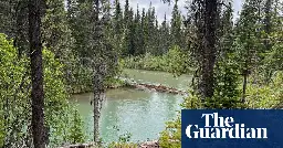 ‘We can feel our ancestors’: one First Nation’s fight to save Canada’s old forests