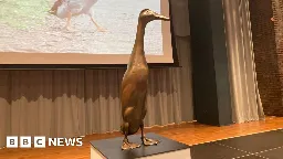 Long Boi: Statue of missing York duck unveiled live on BBC Radio 1 - BBC News